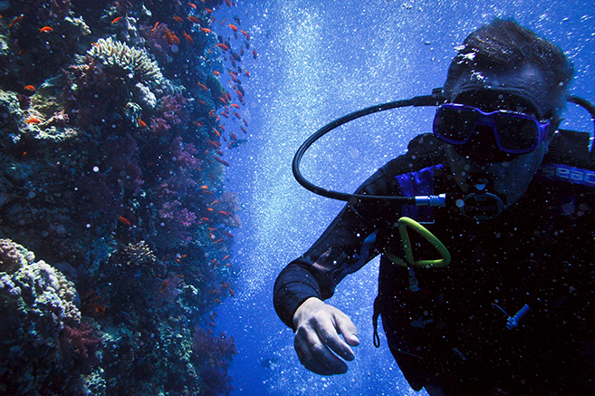 Morning Dive Beach Intro